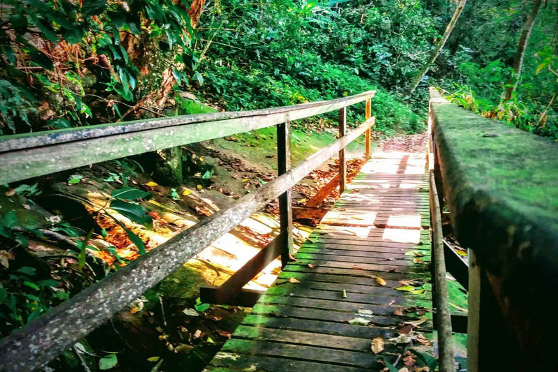 Carregue imagem no visualizador da galeriaPrainha & Grumari: Um Dia Entre Trilha, Mar e Mata Atlântica - Regular