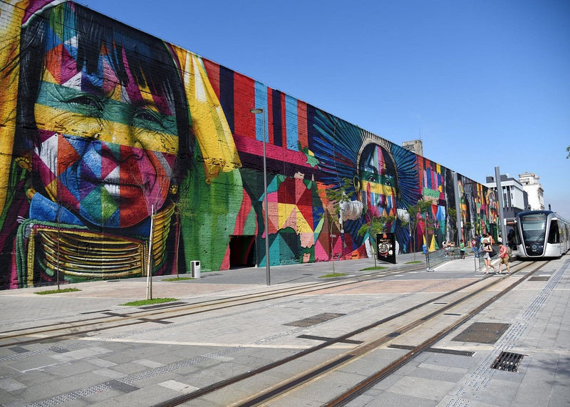 Carregue imagem no visualizador da galeriaTour Boulevard Olímpico com visita ao AquaRio e Museu do Amanhã | Regular