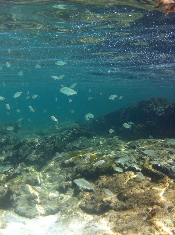 Carregue imagem no visualizador da galeriaDescubra a Lagoa Azul: Passeio Clássico em Ilha Grande