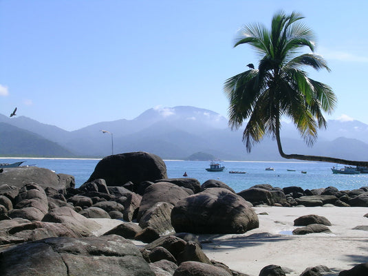 Ilha Grande