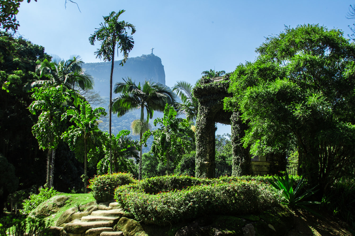 Ecologico