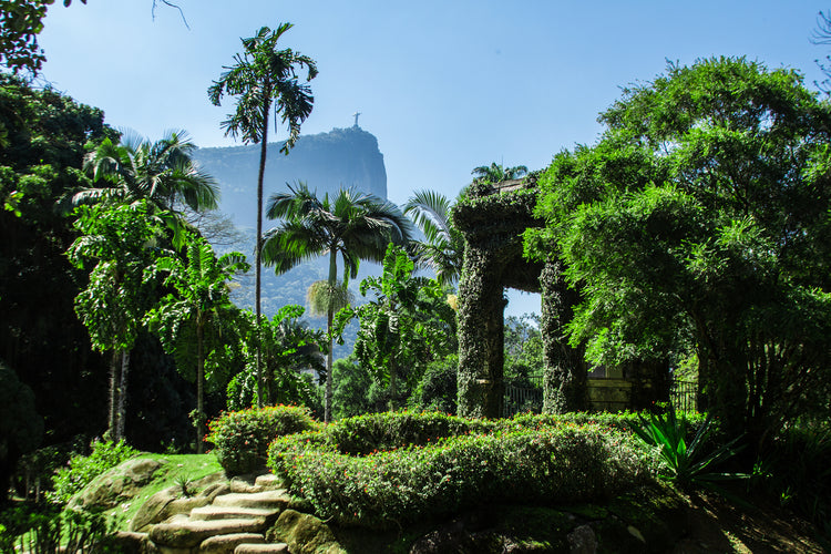 Ecologico