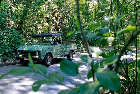 Tour en Jeep - Corcovado, Floresta de Tijuca y Santa Teresa - Regular