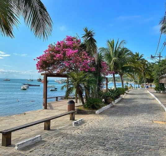 Búzios Panorâmico: Tour de Trolley pelas Praias e Mirantes - Saída de Búzios