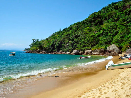 Lopes Mendes: Passeio em Barco + Caminhada  em Ilha Grande