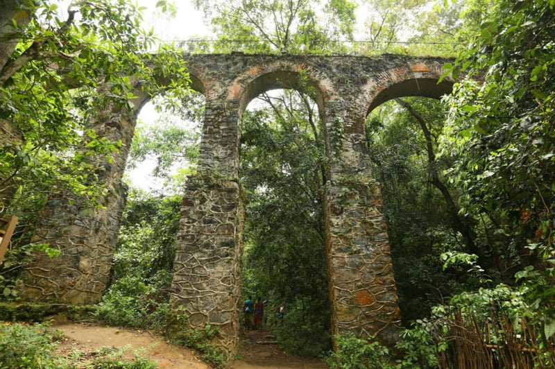 Carregue imagem no visualizador da galeriaAbraão Tour a Pé Privado: História, Cultura e Natureza
