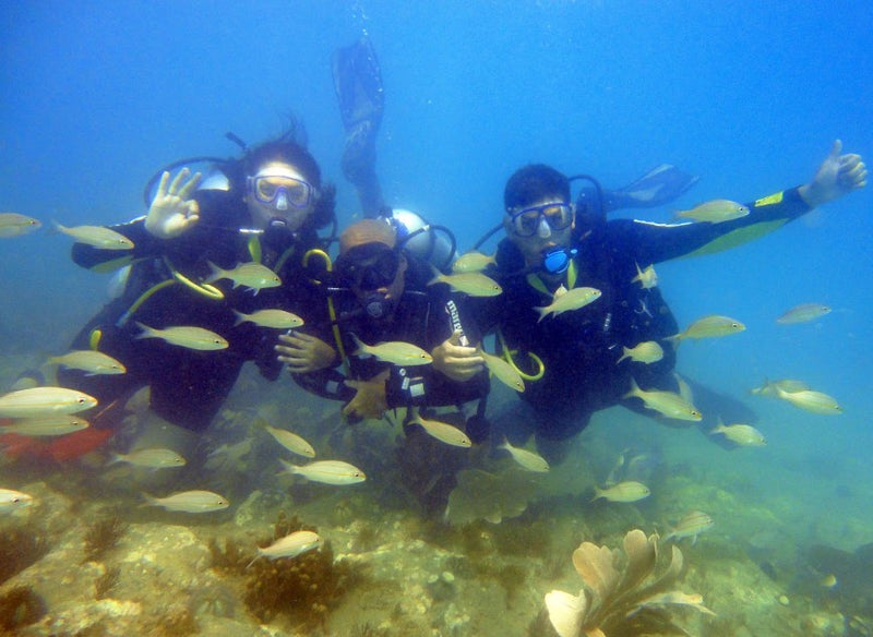 Carregue imagem no visualizador da galeriaMergulho na Praia de João Fernandes

