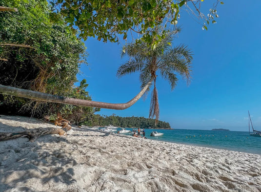 Tour pelas Ilhas Paradisíacas saindo do Cais de Angra