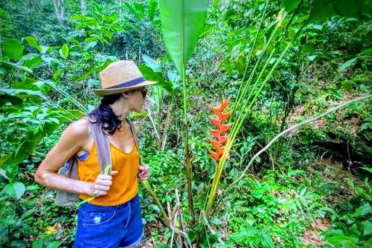 Prainha & Grumari: Um Dia Entre Trilha, Mar e Mata Atlântica - Regular