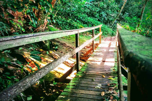 Prainha & Grumari: Um Dia Entre Trilha, Mar e Mata Atlântica - Regular