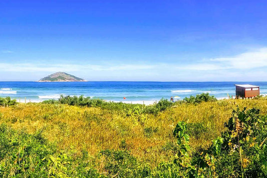 Prainha & Grumari: Um Dia Entre Trilha, Mar e Mata Atlântica - Regular
