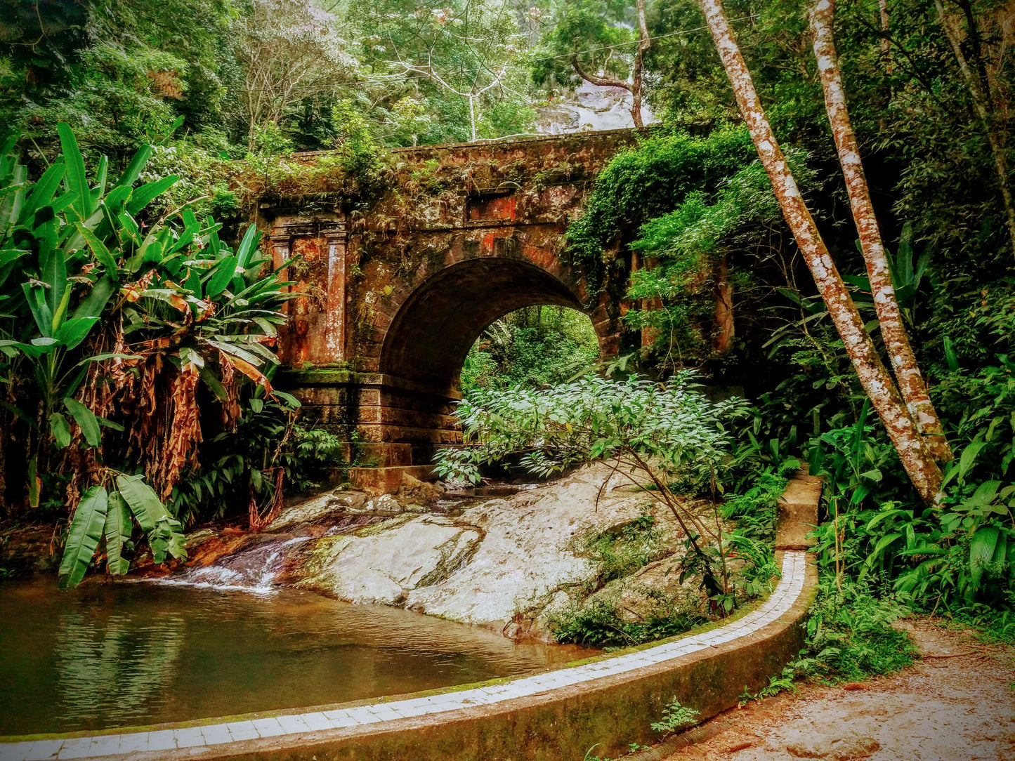 Eco-Citytour - An Immersion in Rio's Nature - Regular