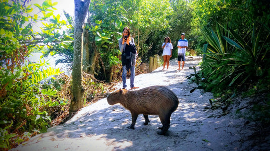 RIO ECO SECRETS • O Eco-Citytour  -  Uma Imersão na Natureza Carioca