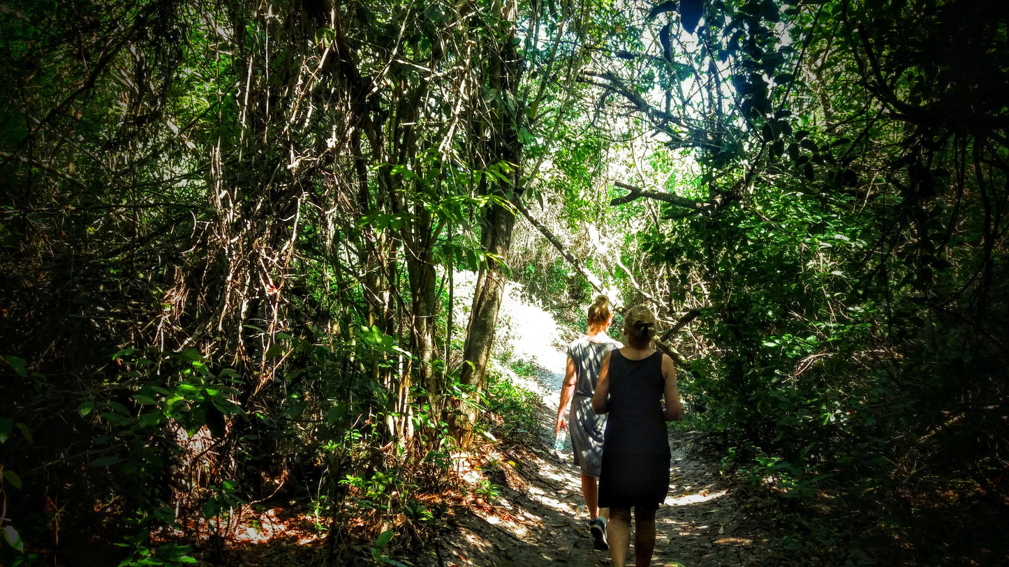 Eco-Citytour - An Immersion in Rio's Nature - Regular