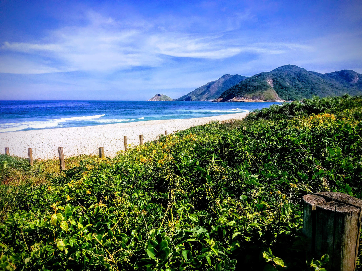 Eco-Citytour - An Immersion in Rio's Nature - Regular