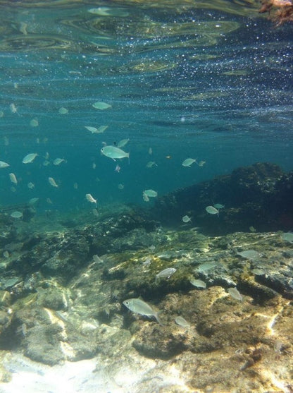Discover the Blue Lagoon: Classic Tour in Ilha Grande